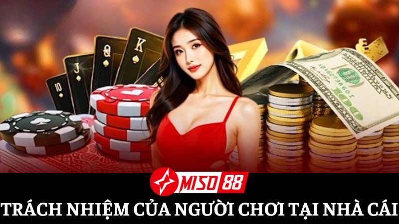 Trách nhiệm của hội viên được thể hiện khi tham gia nhà cái Miso88